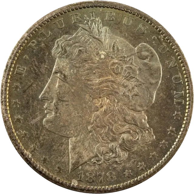 Morgan dollar obverse: Liberty head facing left